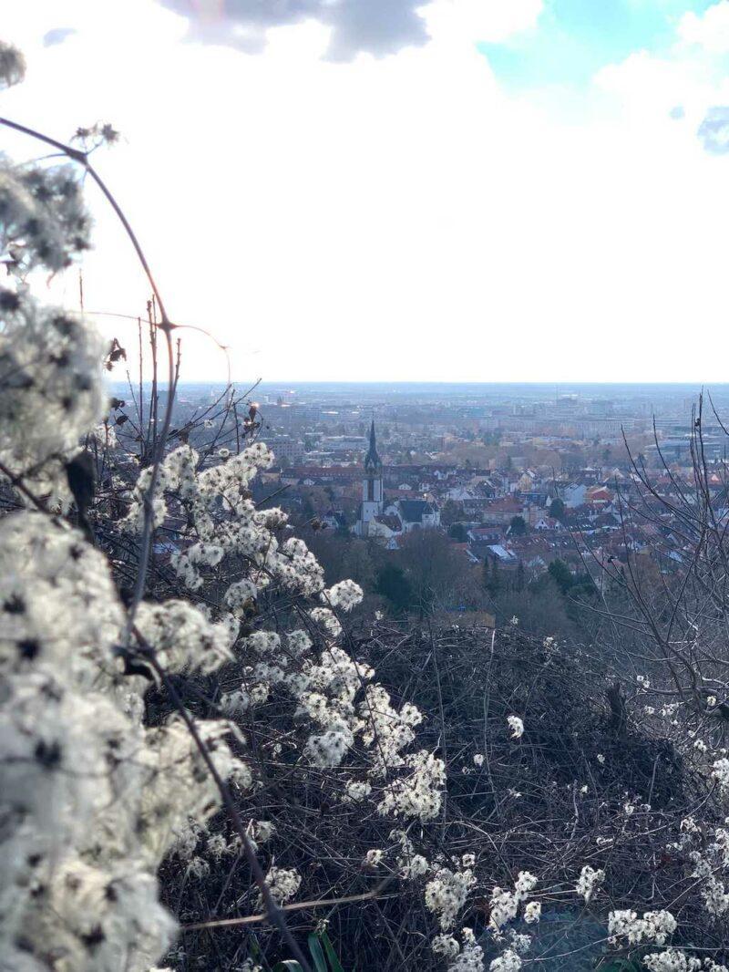 Jahresrückblick 2020